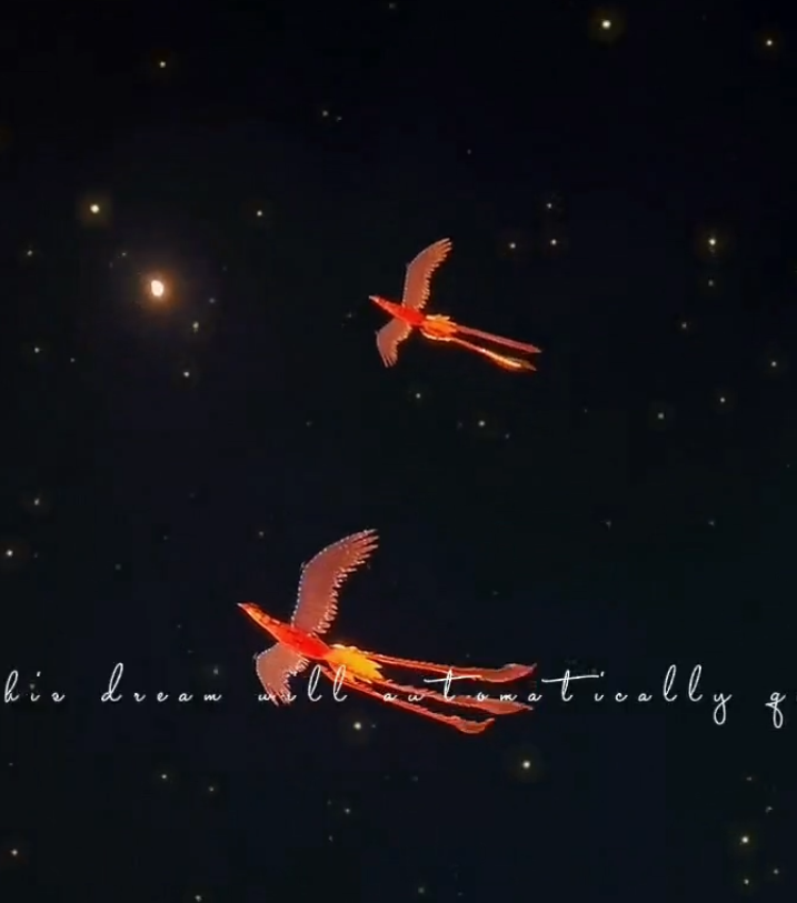 &ldquo;龙凤呈祥&rdquo;无人机表演秀